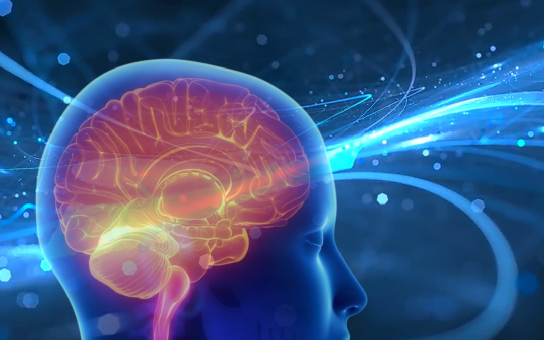Private Brain MRI in Leeds: Brain MRI, MRA & MR Venogram Explained