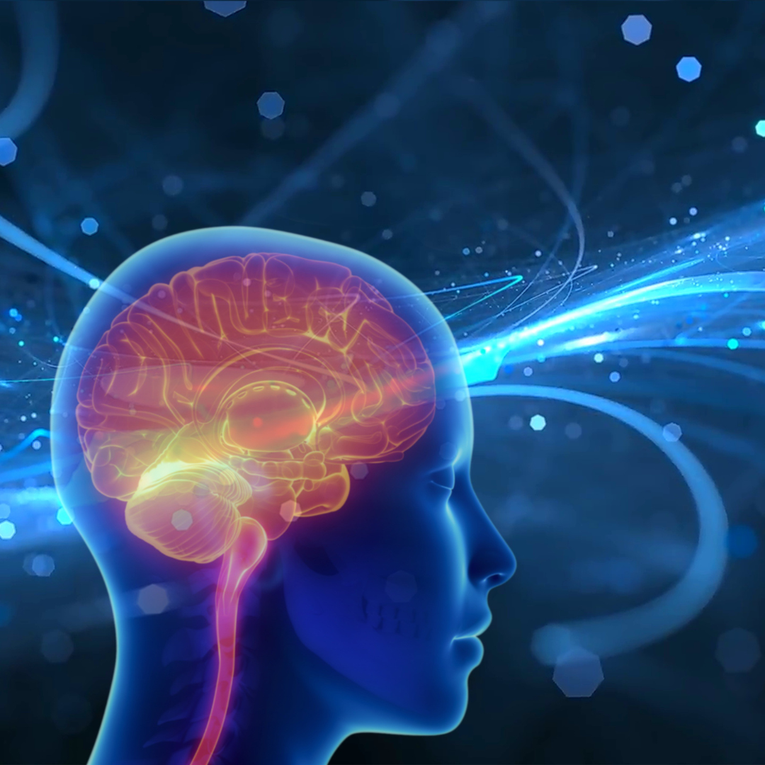 Brain imaging illustration for private MRI scans in Leeds