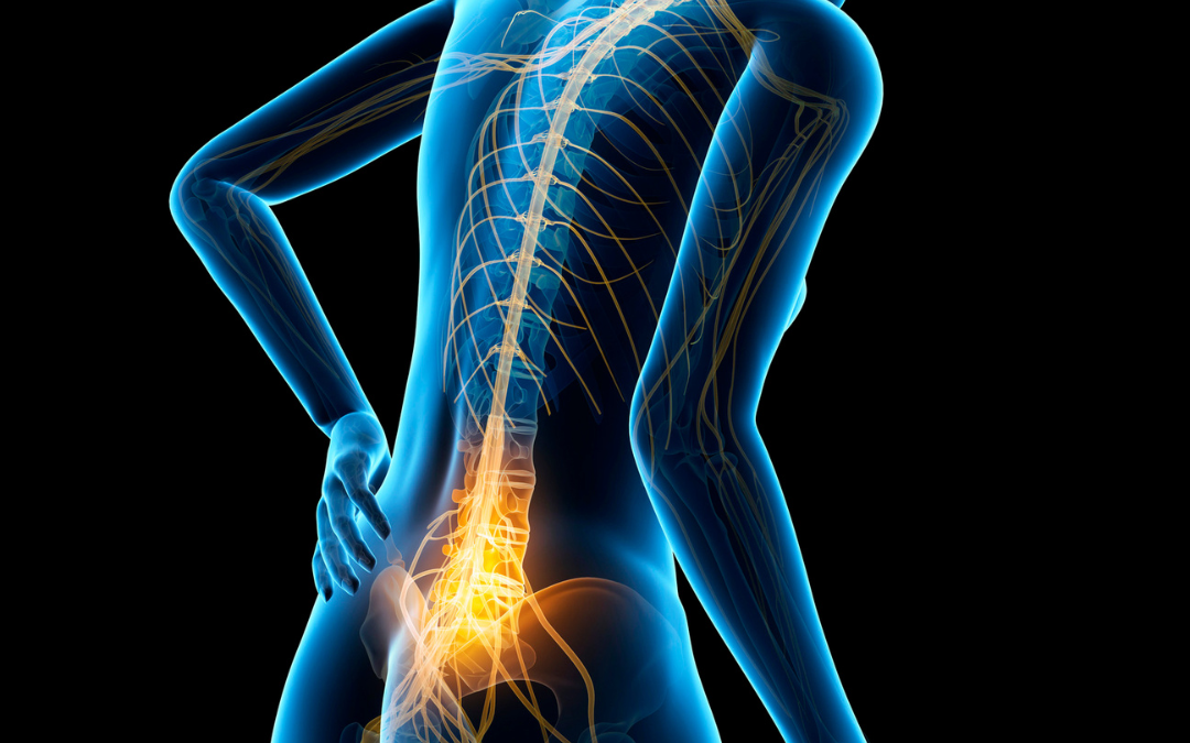 Private Full Spine MRI Scan