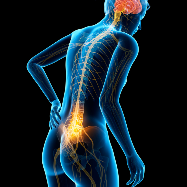 Private Full Spine MRI Scan