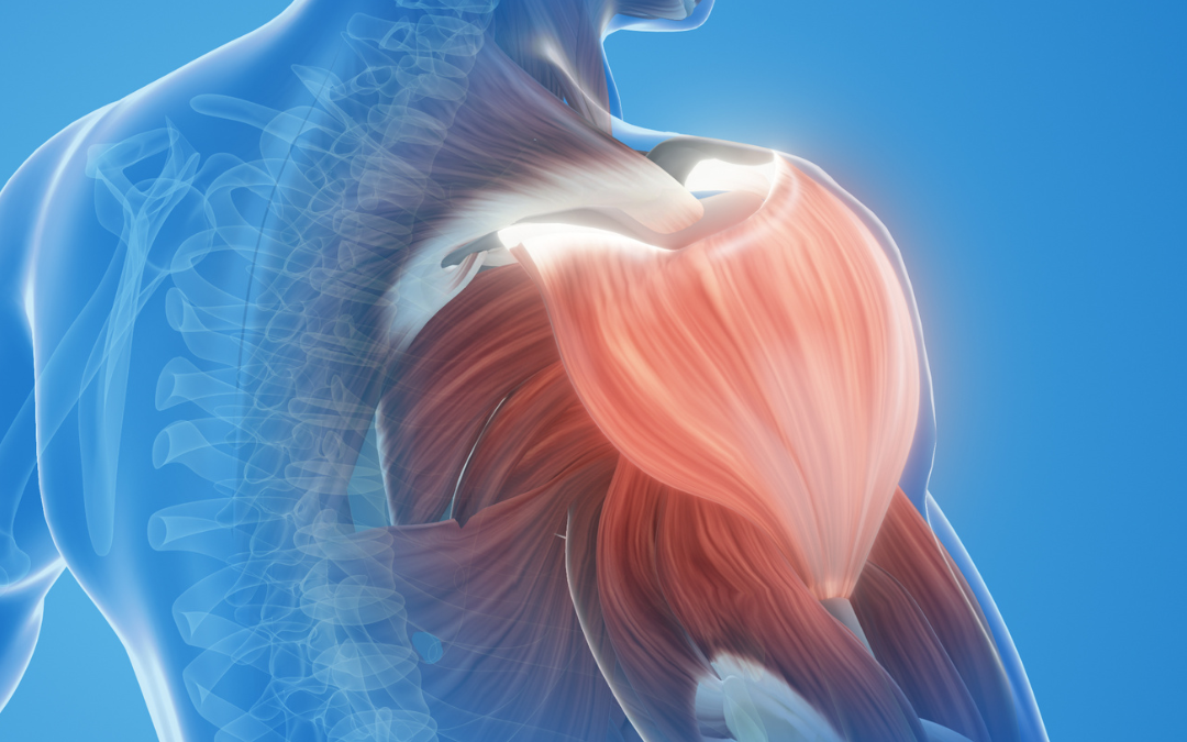 Private Shoulder MRI in Leeds